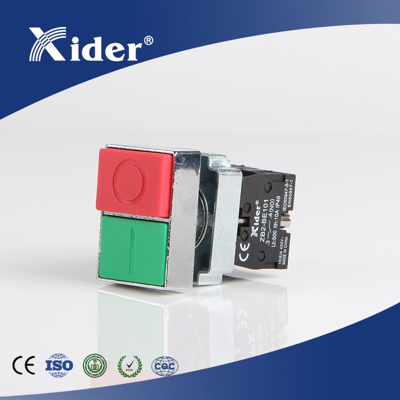 double Momentary Push Button Switch